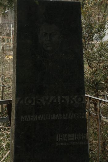 Добудько Александр Гаврилович  1914-1965