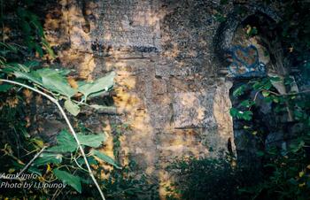 с.Тополевка. Руины храма Сурб Урпат. Фото И.С.Липунова Фото И.Липунова 257